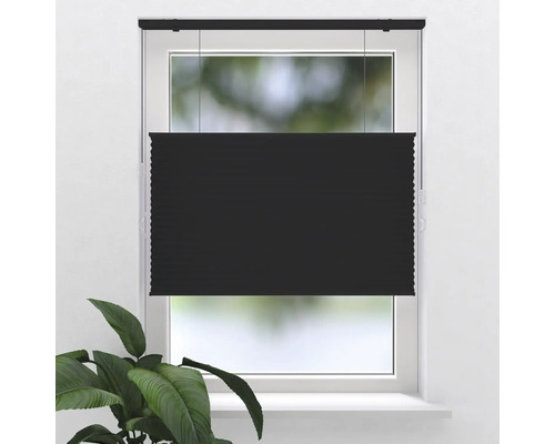 Schwarzes Plissee Rollo am Fenster