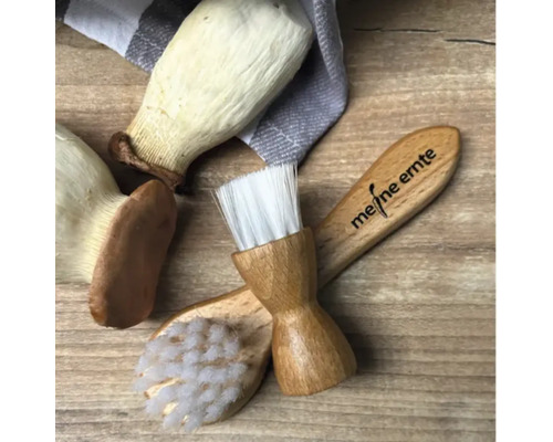 Ensemble de brosses à légumes avec le logo meine ernte à côté de champignons sur une table en bois