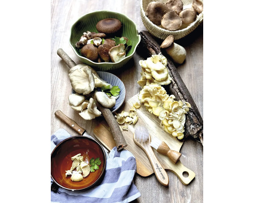 Différentes variétés de champignons dans des bols et sur une planche à découper avec des brosses à champignons
