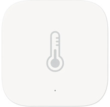 Symbole de thermomètre pour l''affichage de la température