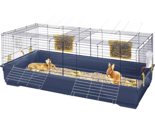 Cage à lapin avec deux lapins, râtelier à foin et gourde