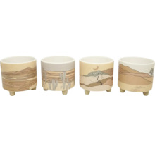 Vier Übertöpfe mit Wüstenmotiv