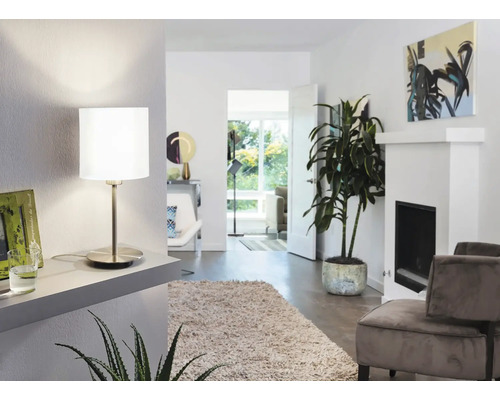 Salon avec plantes d''intérieur, tapis et lampe de table