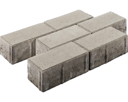 Pavé rectangulaire gris 20x10x8 cm