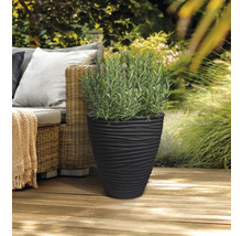 Pot de fleurs noir avec motif ondulé et plante de romarin sur une terrasse