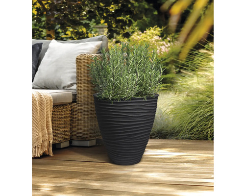 Pot de fleurs noir avec motif ondulé et plante de romarin sur une terrasse