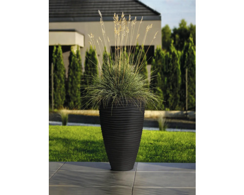 Plante décorative dans une jardinière côtelée à l''extérieur.