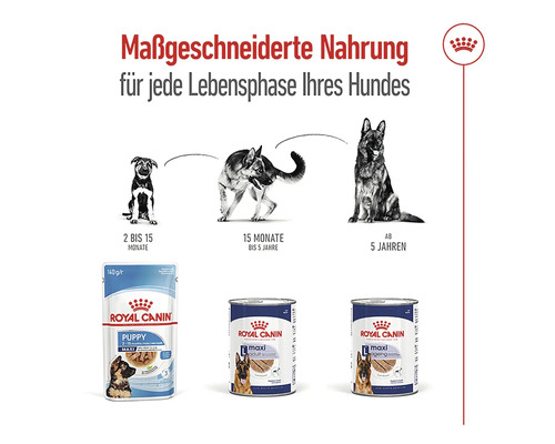 Royal Canin Hundefutter für jede Lebensphase