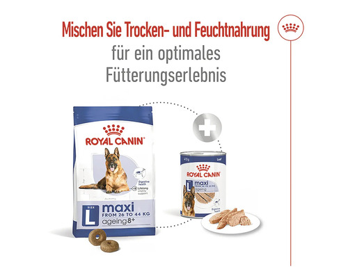 Royal Canin Maxi Ageing 8 plus Hundenahrung, Trocken- und Nassfutter