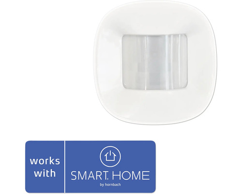 frient Motion Sensor 2 PET - Compatible avec SMART HOME by hornbach Détecteur de mouvement pour le système Smart Home
