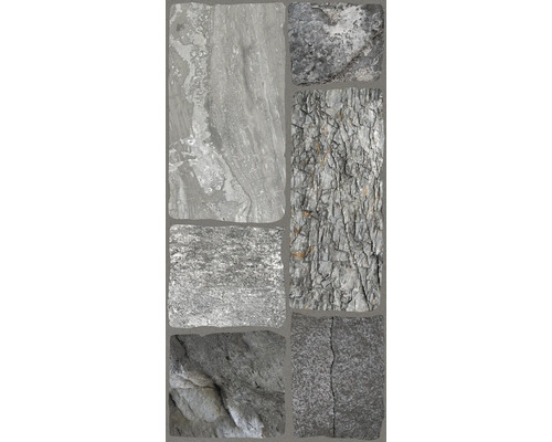 Feinsteinzeug Wand- und Bodenfliese Leo grigio BxLxS 30x60x0.8 cm