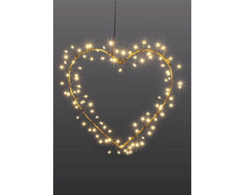 Guirlande lumineuse LED Lafiora Cœur Ø 30 cm