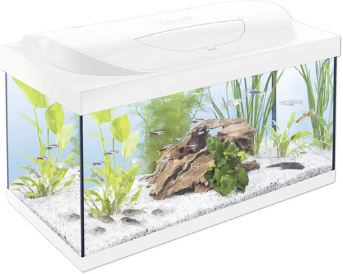 Aquarium Tetra Kleine Forscher Club avec couvercle blanc avec éclairage LED 10 W, filtre intérieur, résistance chauffante, film de paroi arrière, nourriture, traitement de l'eau, filet de capture env. 54 L, env. 61 x 31 x 30,8 cm