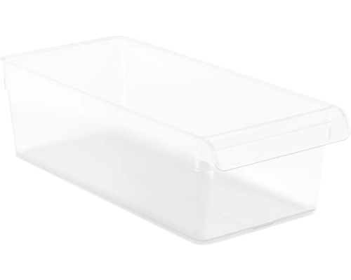 Rotho LOFT M Kühlschrankorganizer 3.1 Liter transparent