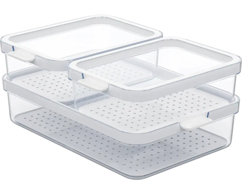 Rotho CAUMA Set Kühlschrankorganizer 3-teilig transparent