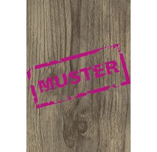 Échantillon d''une surface en bois