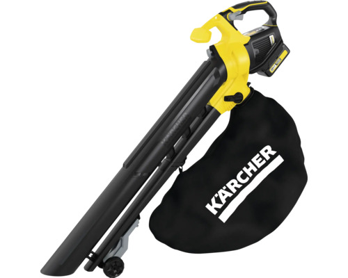 Akku Laubsauger und Laubbläser mit Fangsack