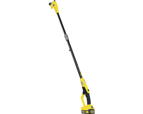 Élagueuse à batterie avec manche télescopique pour les travaux d''élagage