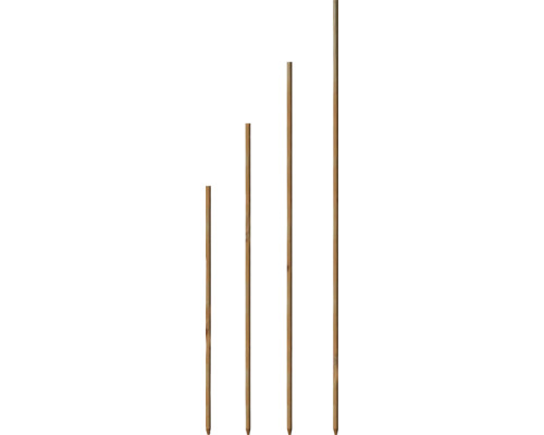 Mehrere Holzpfähle unterschiedlicher Länge