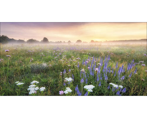 Leinwandbild Morning Haze 100x50 cm