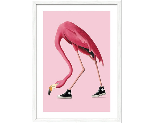 Gerahmtes Bild Flamingo With Sneakers 53x73 cm Gerahmtes Bild eines Flamingos mit Turnschuhen