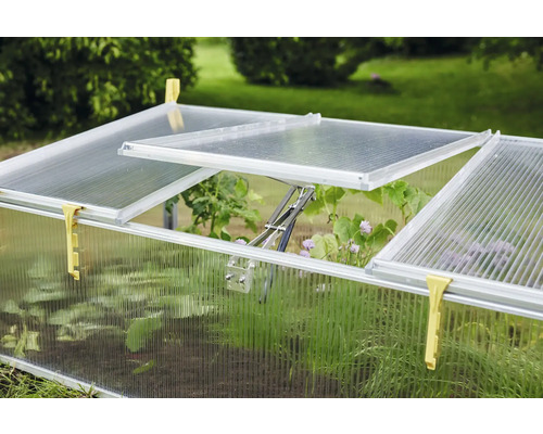 Frühbeet mit transparenten Wänden und geöffneten Fenstern im Garten