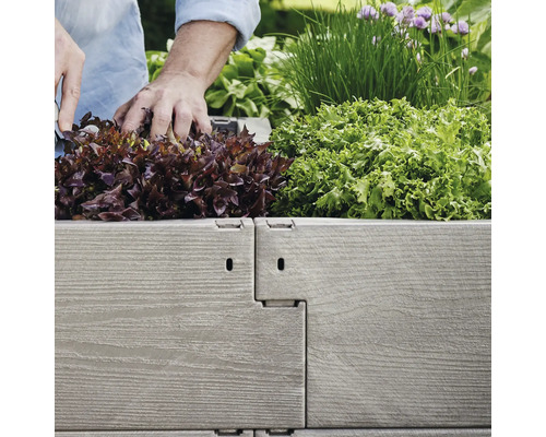 Hochbeet mit Salat und Kräutern bepflanzt