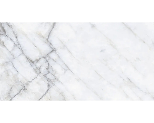 Feinsteinzeug Wand- und Bodenfliese Crystal white polished BxLxS 75.5x151x1 cm Feinsteinzeug Wand- und Bodenfliese Crystal white polished BxLxS 75.5x151x1 cm