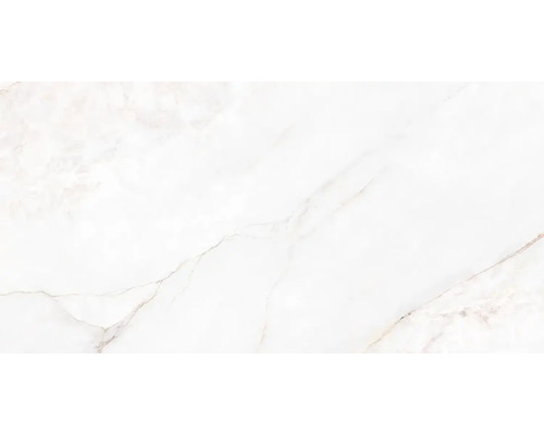 Feinsteinzeug Wand- und Bodenfliese Dahlia white polished BxLxS 75.5x151x1 cm Feinsteinzeug Wand- und Bodenfliese Dahlia white polished BxLxS 75.5x151x1 cm