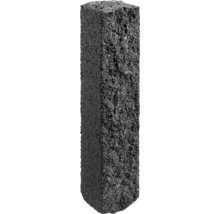 Pavé en béton