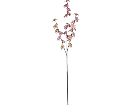 Plante artificielle branche d'hoyaves H 77 cm