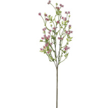 Plante artificielle Branche de pumila H 62 cm
