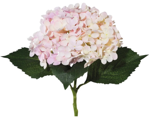 Plante artificielle Hortensia H 53 cm rose