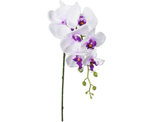 Kunstpflanze Phalaenopsis H 86 cm