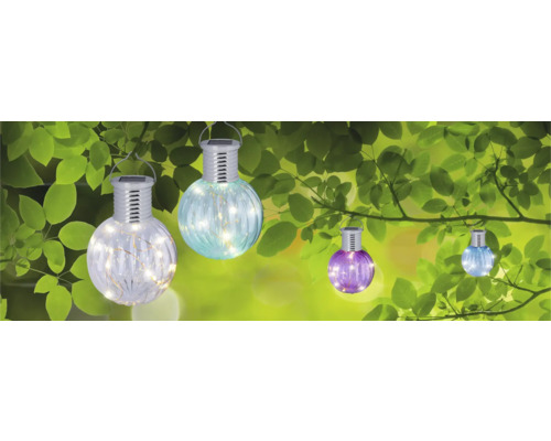 Mehrfarbige Solarleuchten in Glühbirnenform hängen an Ästen