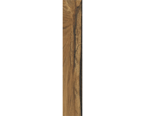 Feinsteinzeug Wand- und Bodenfliese Sherwood mahogany BxLxS 7.5x45x0.85 cm