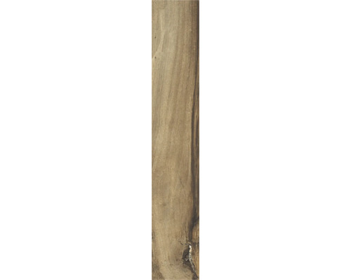 Feinsteinzeug Wand- und Bodenfliese Sherwood walnut BxLxS 7.5x45x0.85 cm