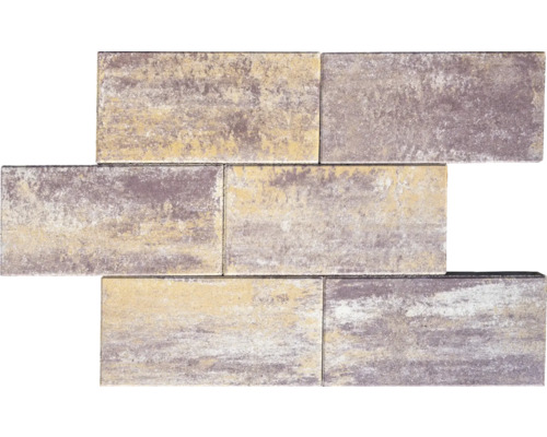 Pavés rectangulaires en béton