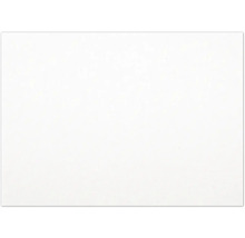 Fond blanc.