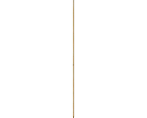 Tige de plantation de robinier pointue 2,1 x 2,1 x 100 cm Douelle de tonneau en bois