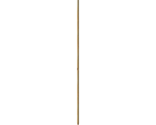 Tige de plantation de robinier pointue 2,1 x 2,1 x 125 cm Store en bambou