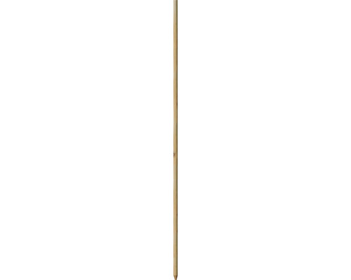 Tige de plantation de robinier pointue 2,1 x 2,1 x 150 cm Bâton de bambou
