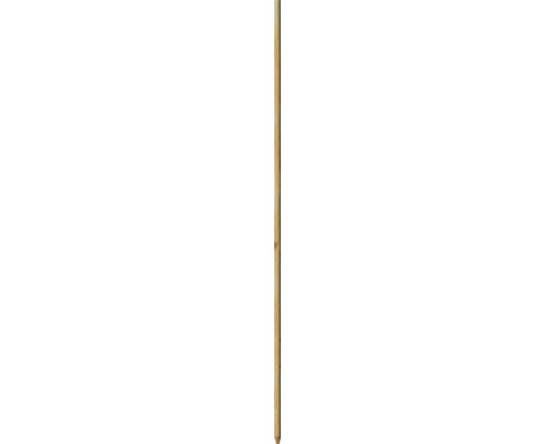 Tige de plantation de robinier pointue 2,1 x 2,1 x 175 cm Tapis en bambou