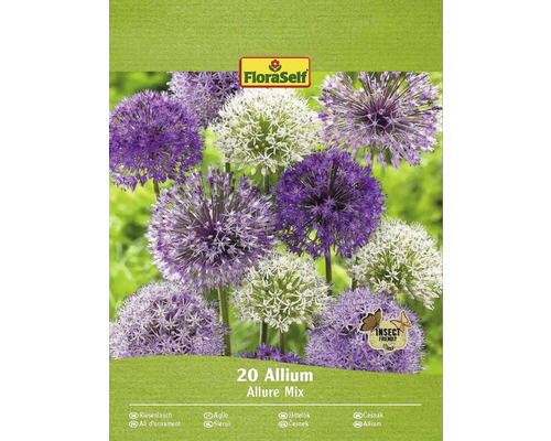 Verpackung mit 20 Allium Allure Mix Blumenzwiebeln