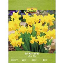 Paquet de jonquilles de la variété Tête à Tête avec le label Ami des insectes