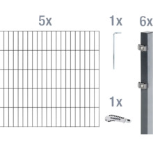 Doppelstabmatten-Set ALBERTS 6/5/6 1000 x 100 cm anthrazit
