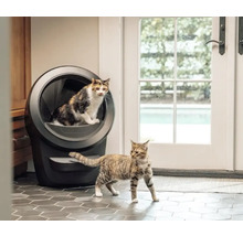 Deux chats près d''une litière autonettoyante dans une pièce lumineuse.