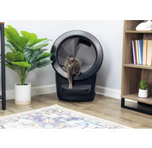 Chat gris entrant dans une litière automatique dans un salon.