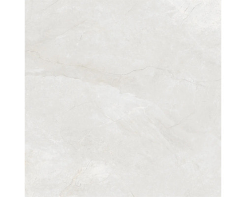 FeinsteinzeugWand- und Bodenfliese Wells ivory matt 120x120x1.07 cm FeinsteinzeugWand- und Bodenfliese Wells ivory matt 120x120x1.07 cm