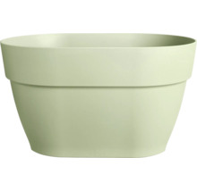 Pot de fleurs en plastique